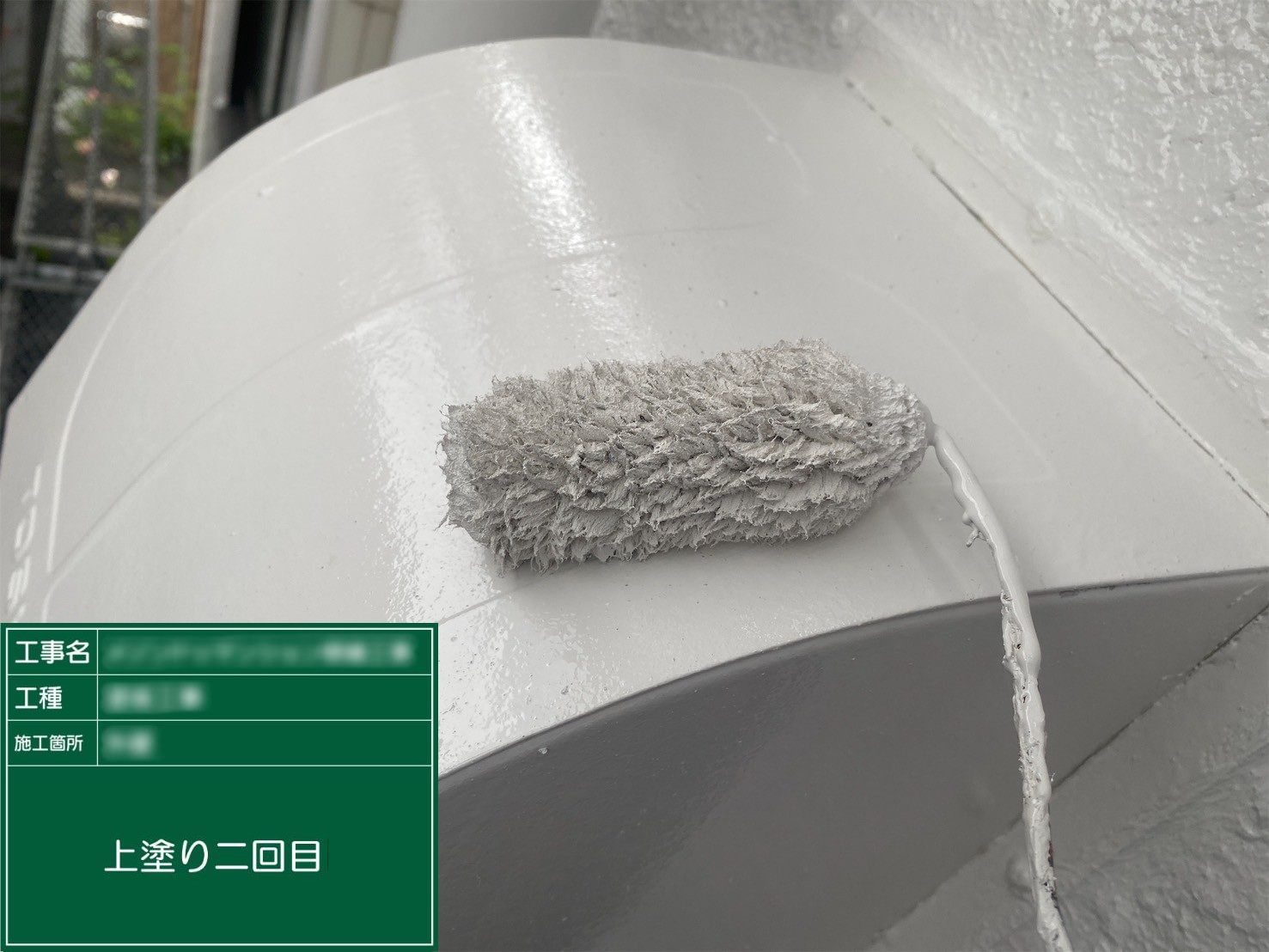 ⑥上塗り２回目